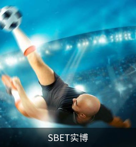 SBET实博介绍